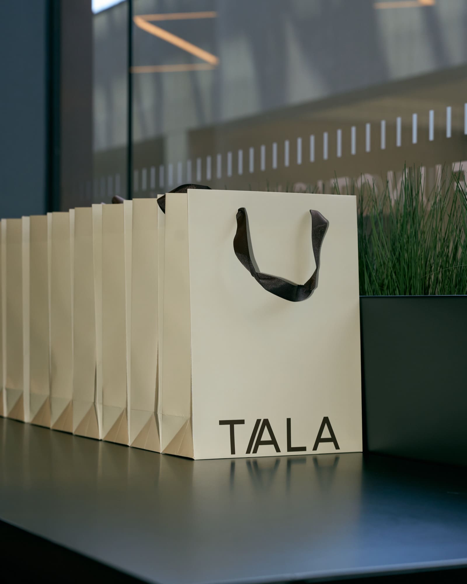 TALA × KARVE — 5 TALA × KARVE — 5